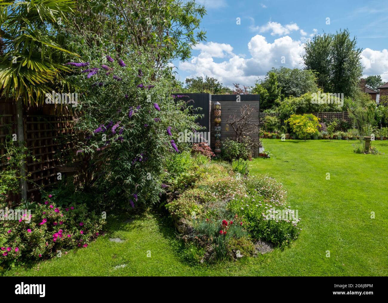 Work from home garden studio with green living sedum roof and black and cedar cladding, in a suburban garden in Pinner, Middlesex, London UK. Stock Photo