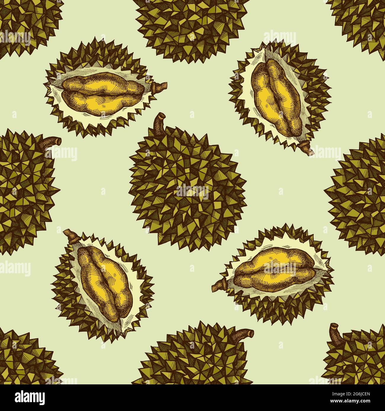 Hand drawn sketch durian hi-res stock photography and images - Alamy