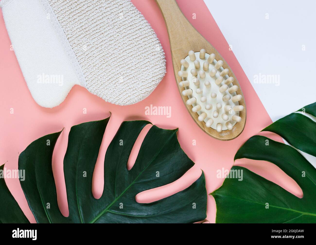 Spa cosmetics background with a massage brush, green monstera palm leaves. Body, face, skin care, anticellulite concept. Stock Photo