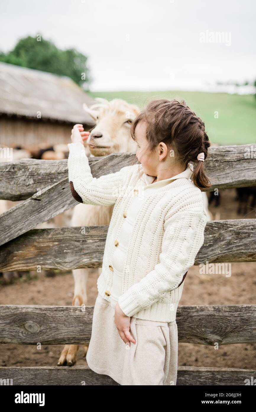Little girl feeding goats on the farm Stock Photo - Alamy