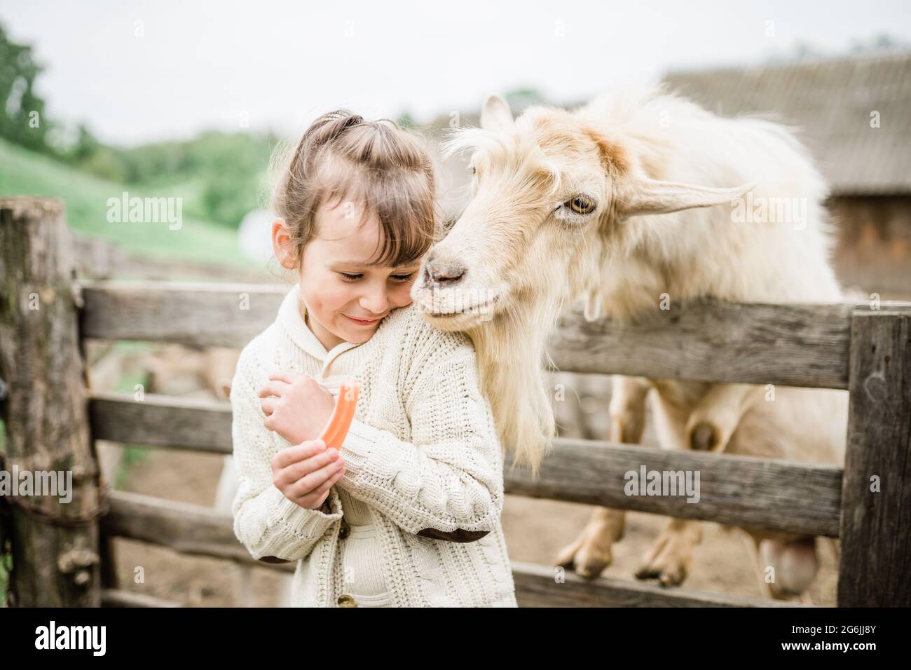 Little girl feeding goats on the farm Stock Photo - Alamy
