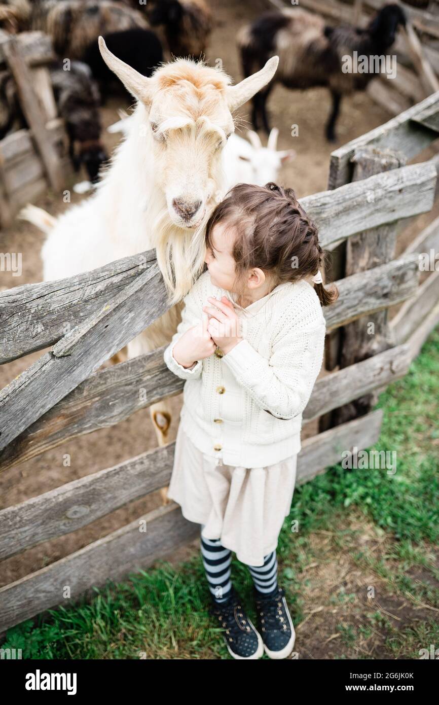 Little girl feeding goats on the farm Stock Photo - Alamy