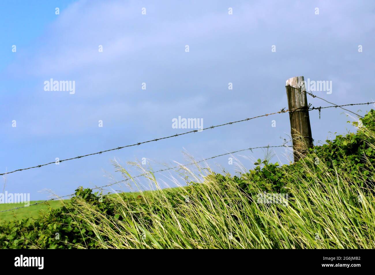 An old barbed wire fence on the Big Island of Hawaii is slowly being