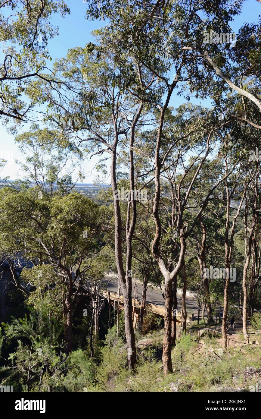 Lapstone zig zag hires stock photography and images Alamy