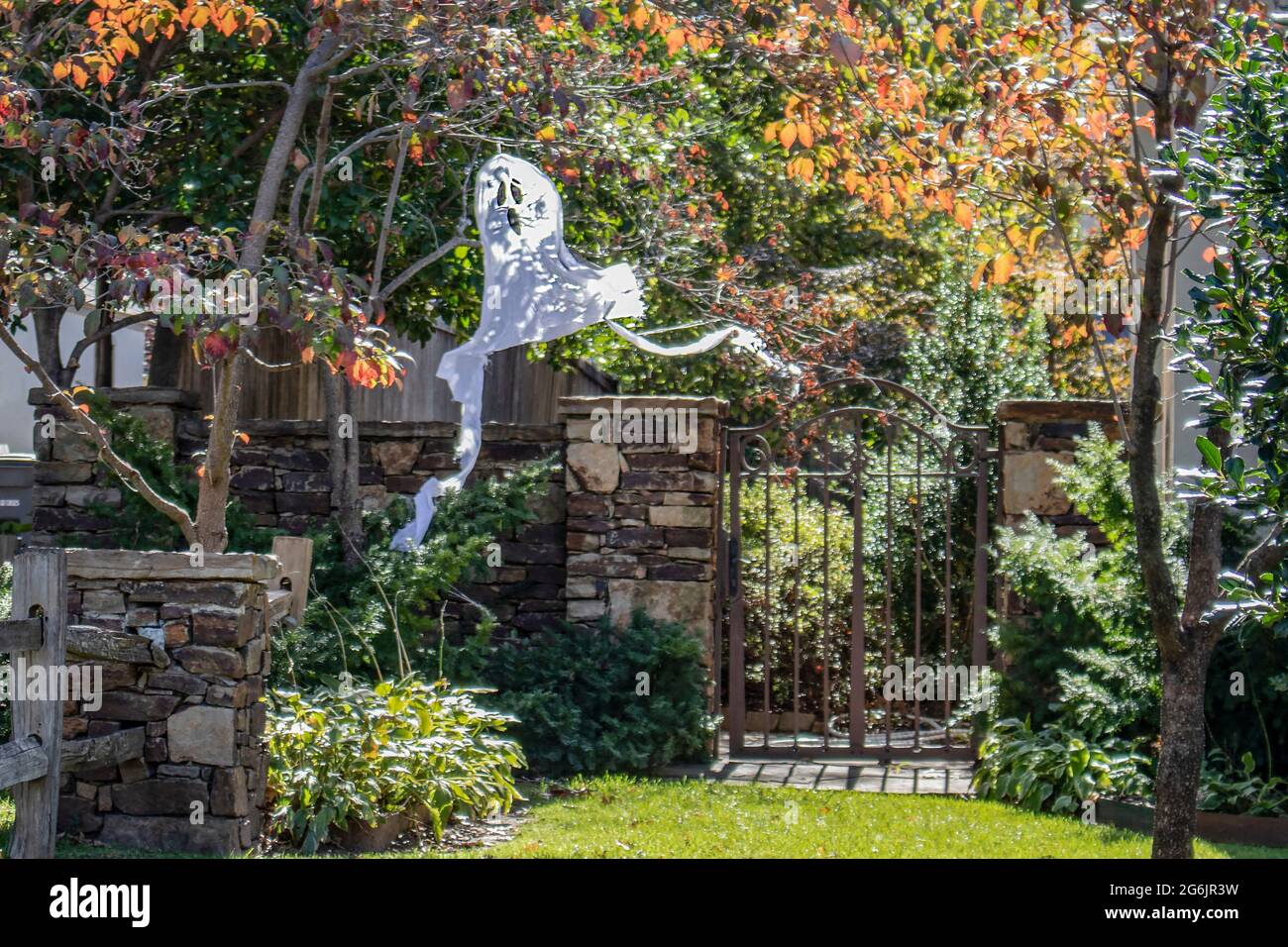 Halloween ghost decoration hanging from tree by garden gate with sun speckled and hokeh fall foliage around it. Stock Photo