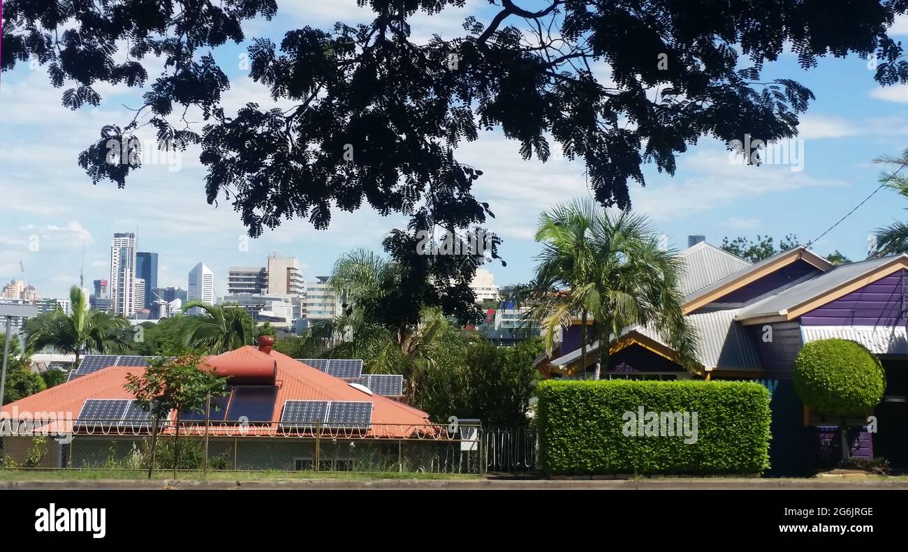 Looking out over the rooftops of Brisbane suburban house with solar panels to the downtown skyline in the distance framed by the limbs of a large tree Stock Photo