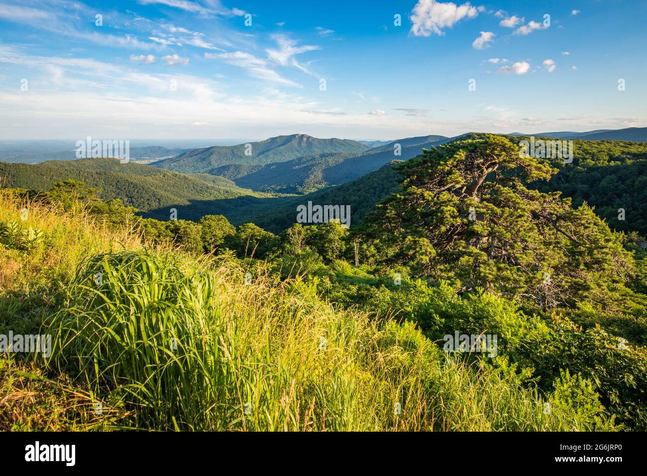Scenic overlook of Shenandoah blue ridge mountains and hills at sunset Stock Photo