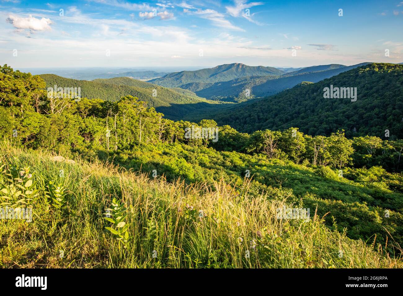 Scenic overlook of Shenandoah blue ridge mountains and hills at sunset Stock Photo