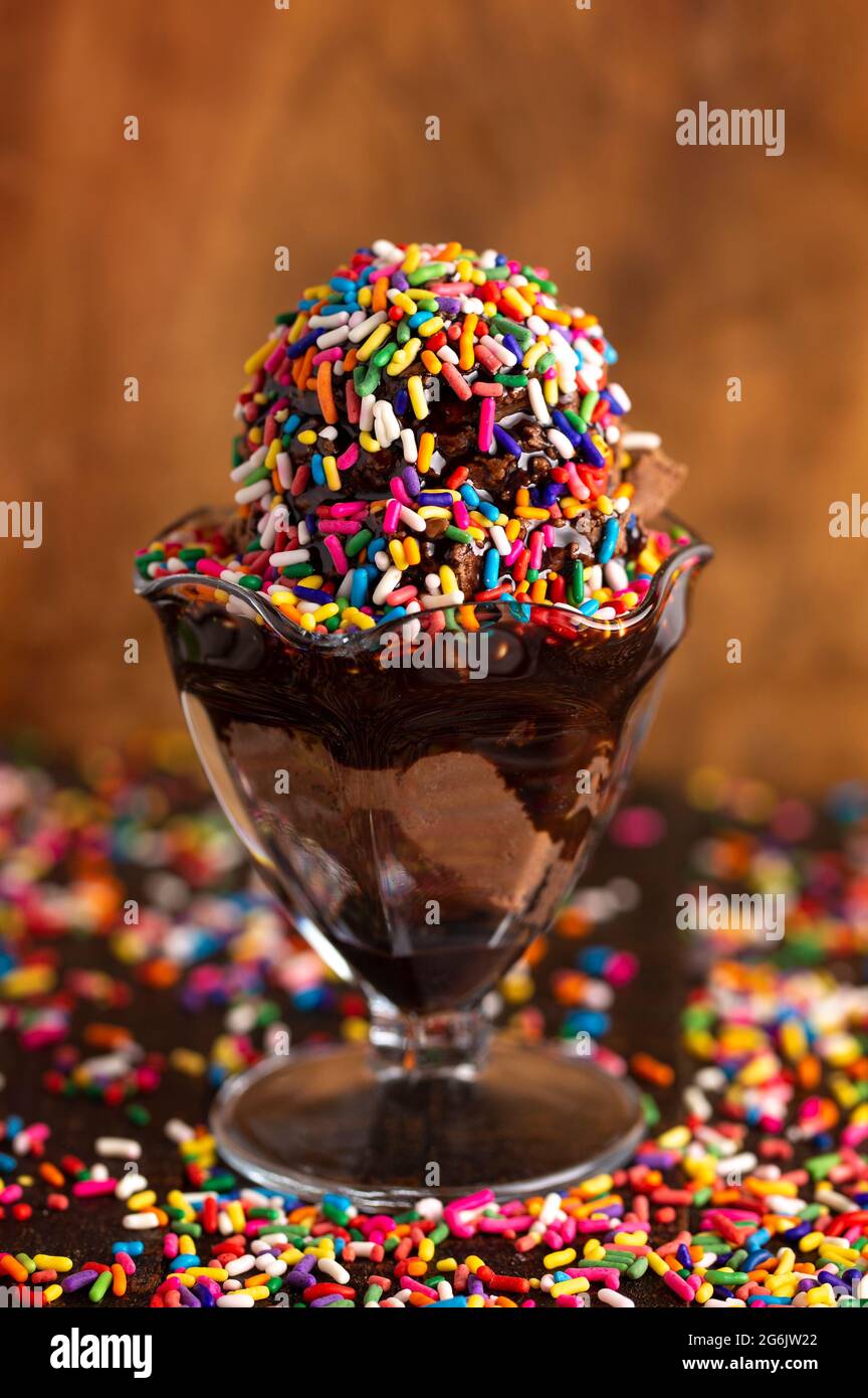 A Chocolate Ice Cream Sundae with Chocolate Syrup and Rainbow Sprinkles