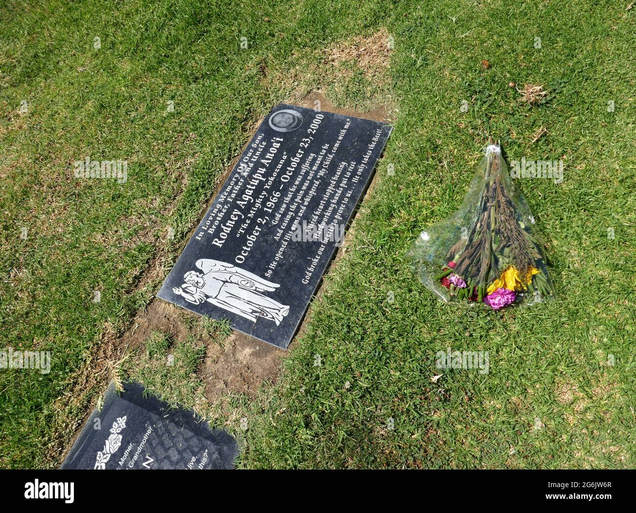 Yokozuna wwe hi-res stock photography and images - Alamy