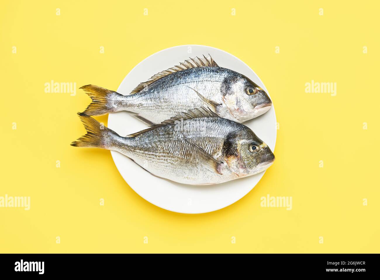 Two raw dorado fish on white plate on a bright yellow background. Mediterranean seafood concept. Top view, copy space for text Stock Photo