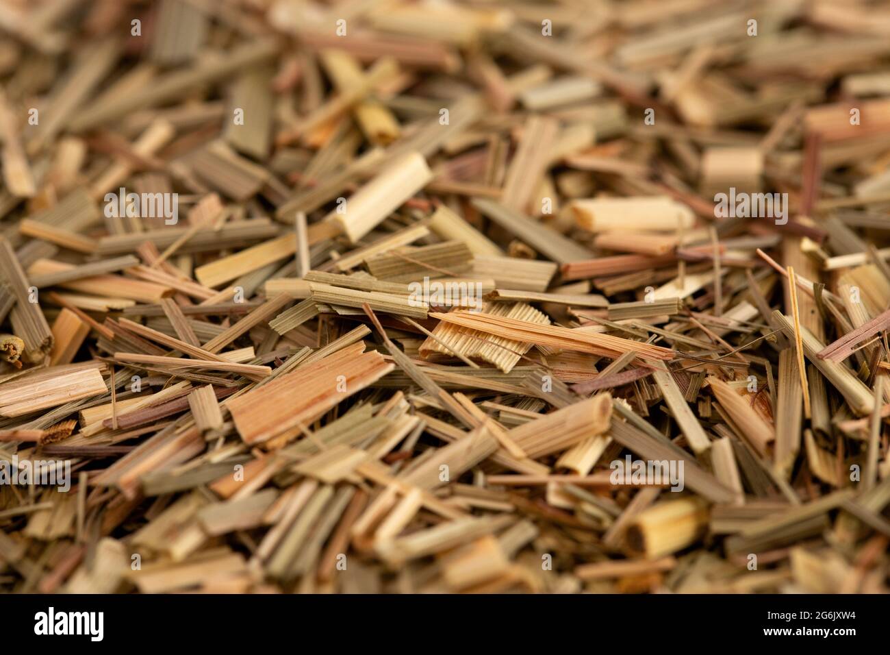 close-up-dried-lemongrass-hi-res-stock-photography-and-images-alamy