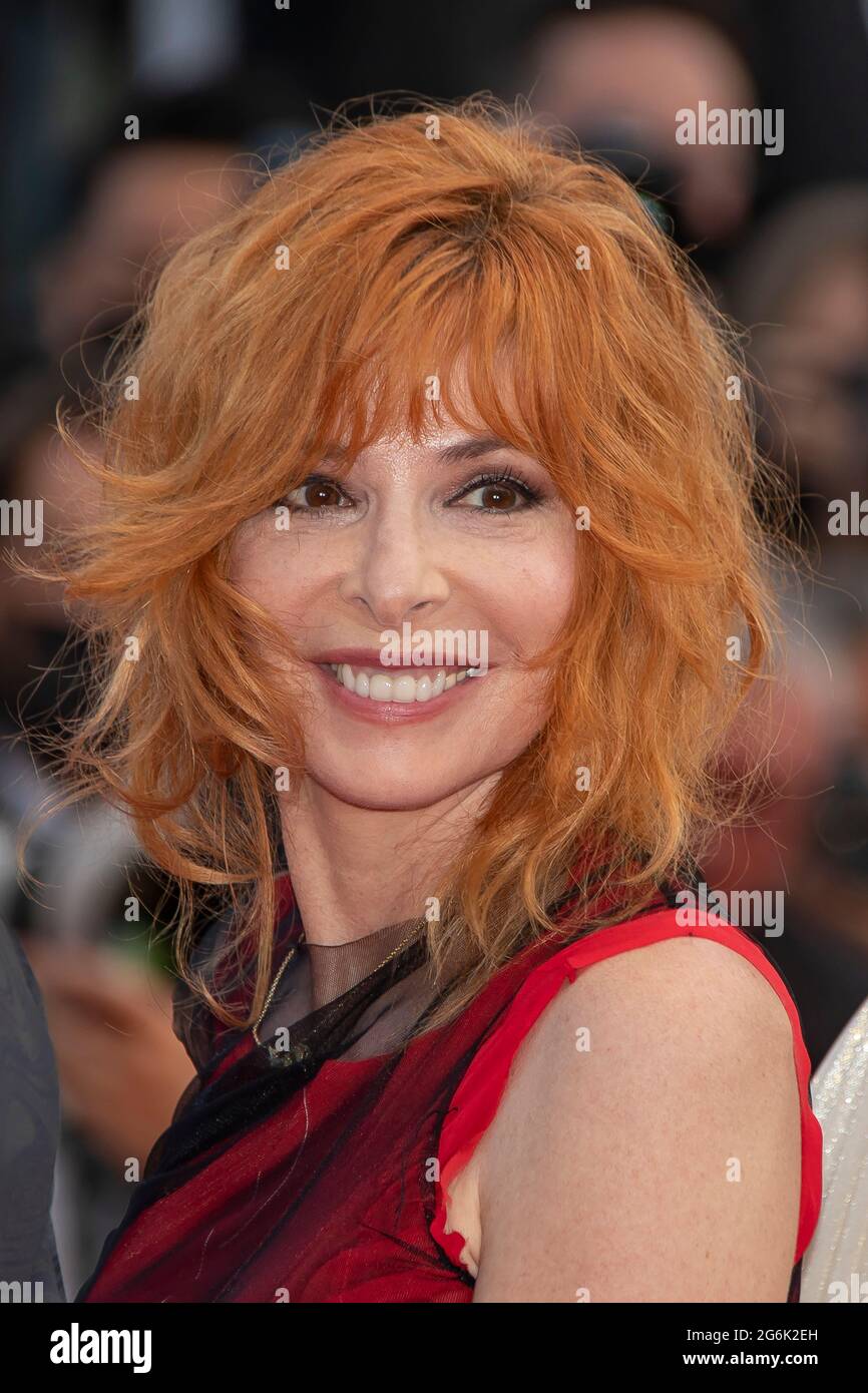 Tukli mushuk yaqindan