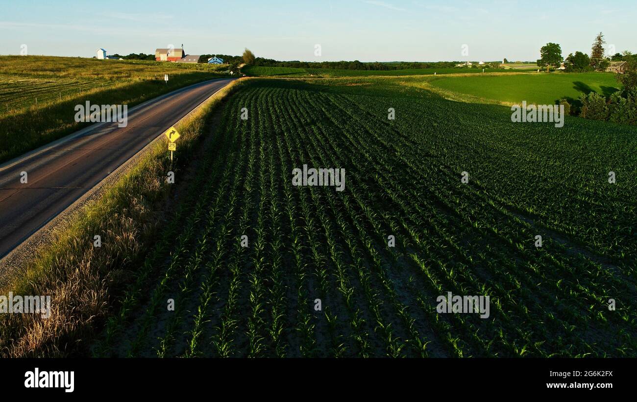 Aerial view of Amish farm and fertile fields of corn, alfalfa hay and pastures dotted with livestock, curve in country road, Hillsboro, Wisconsin, USA Stock Photo