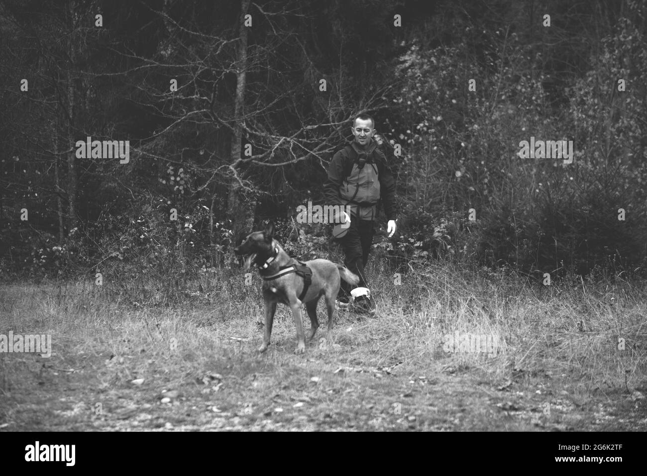 Search and Rescue Forces Search Through Woods With the Help of Rescue Dog Stock Photo