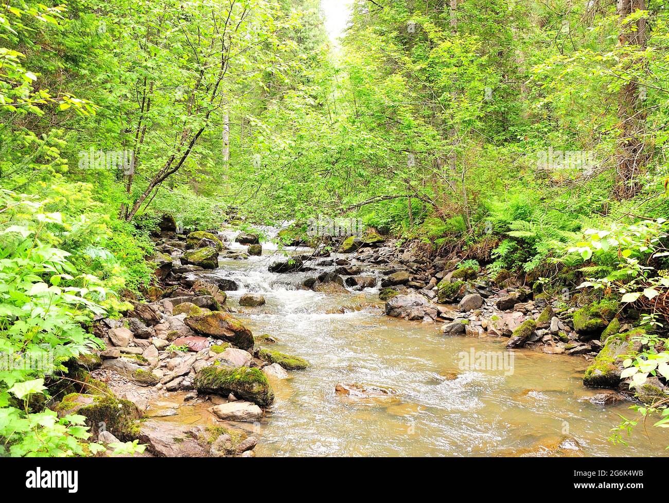 A small mountain river descending in a stormy stream into the valley ...