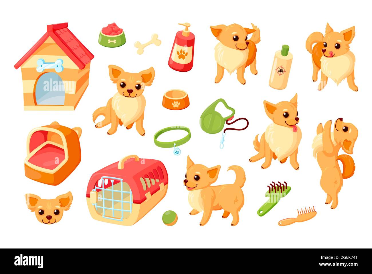 Chihuahua dog with kennel carrier toys and grooming stuff. Chihuahua puppy with pet accessories. Vector illustration in cute cartoon style Stock Vector Image Art Alamy