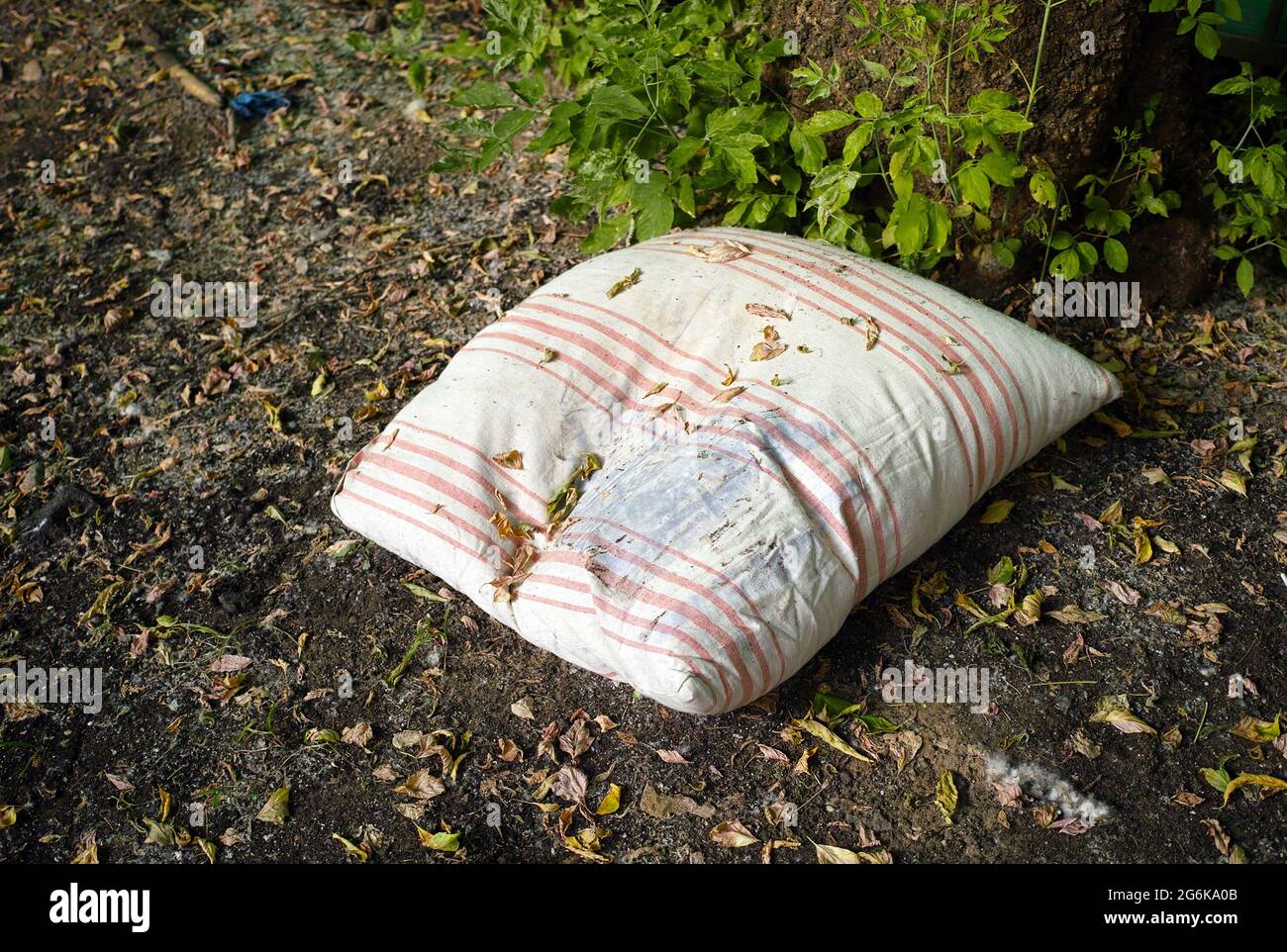 Old dirty pillow abandoned on a ground, outdoor closeup Stock Photo Alamy