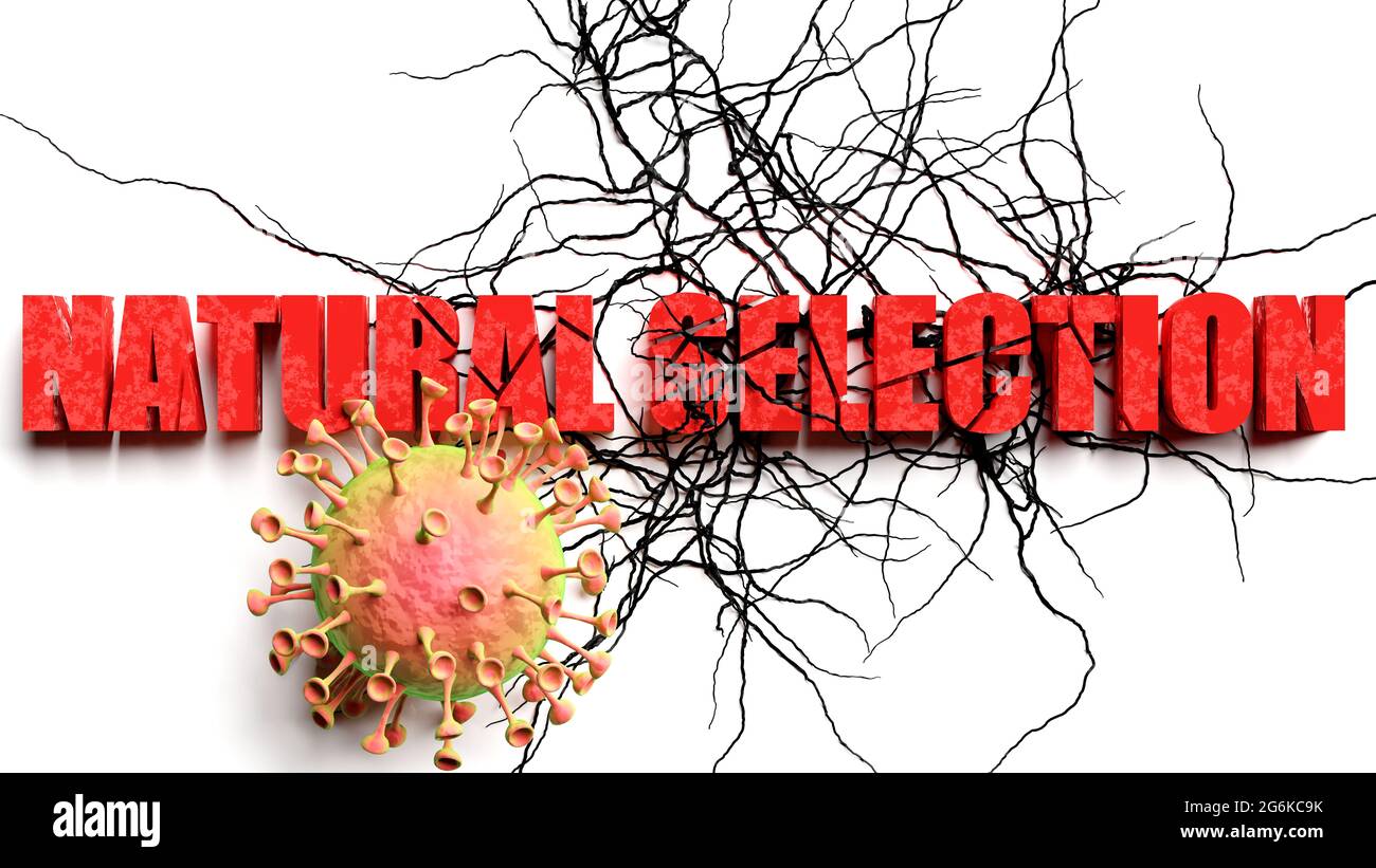 Degradation and natural selection during covid pandemic, pictured as