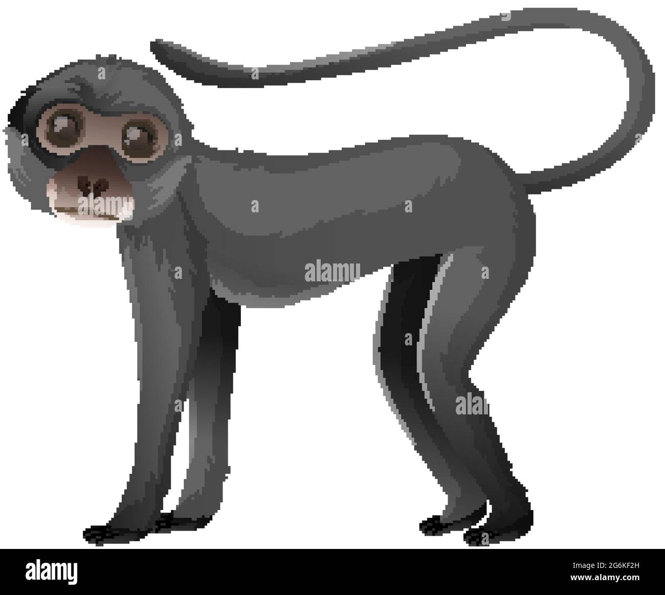 Spider Monkey Clipart