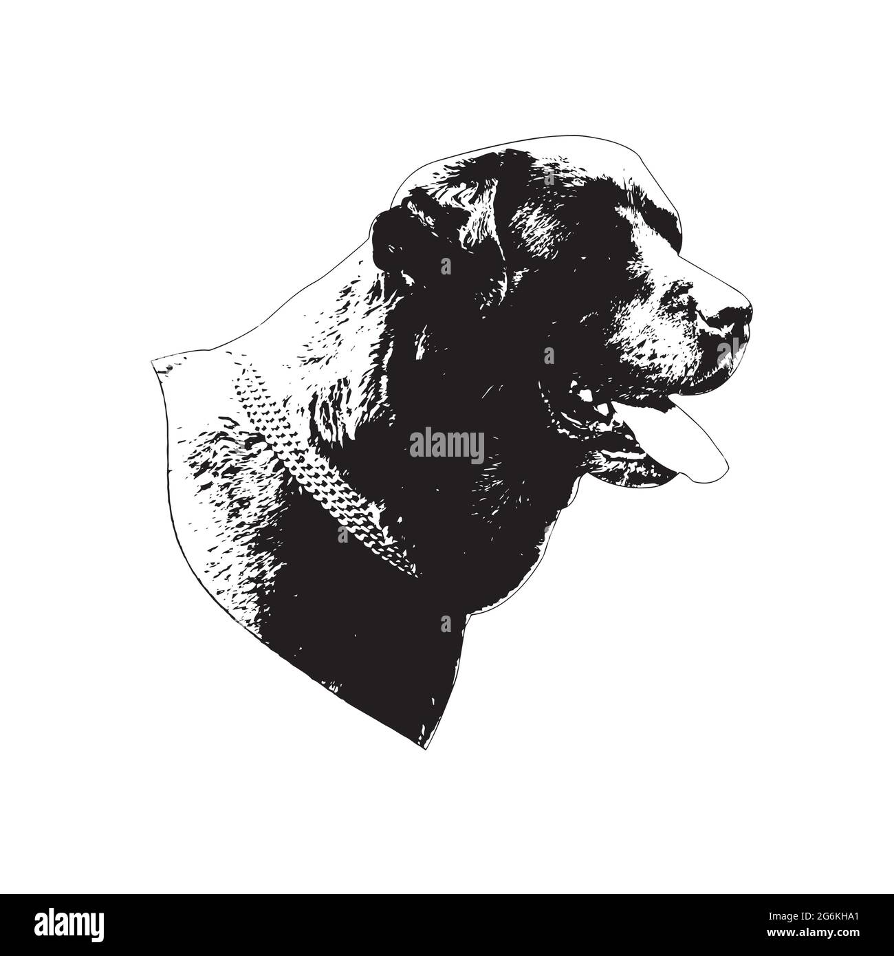 Black and white Portrait of a dog on a white background. Adult beautiful Labrador retriever head. Gorgeous pet with open mouth and tongue sticking out Stock Vector