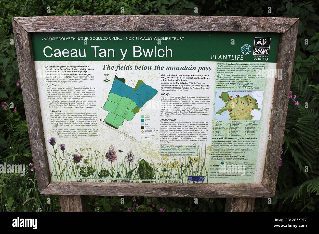 Caeau Tan Y Bwlch Nature Reserve Sign, North Wales Wildlife Trust & Plantlife, Llŷn Peninsula, Wales Stock Photo