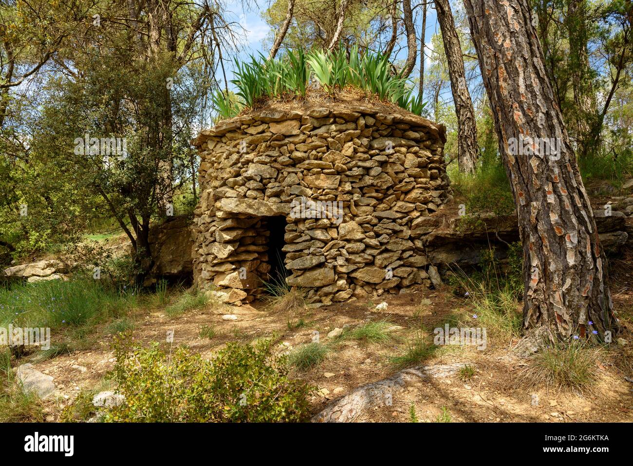 Dry stone cabin next to the Forn de Calç (lime kiln) in Calders (Moianès, Barcelona, Catalonia, Spain) ESP: Barraca de piedra seca en Calders (España) Stock Photo