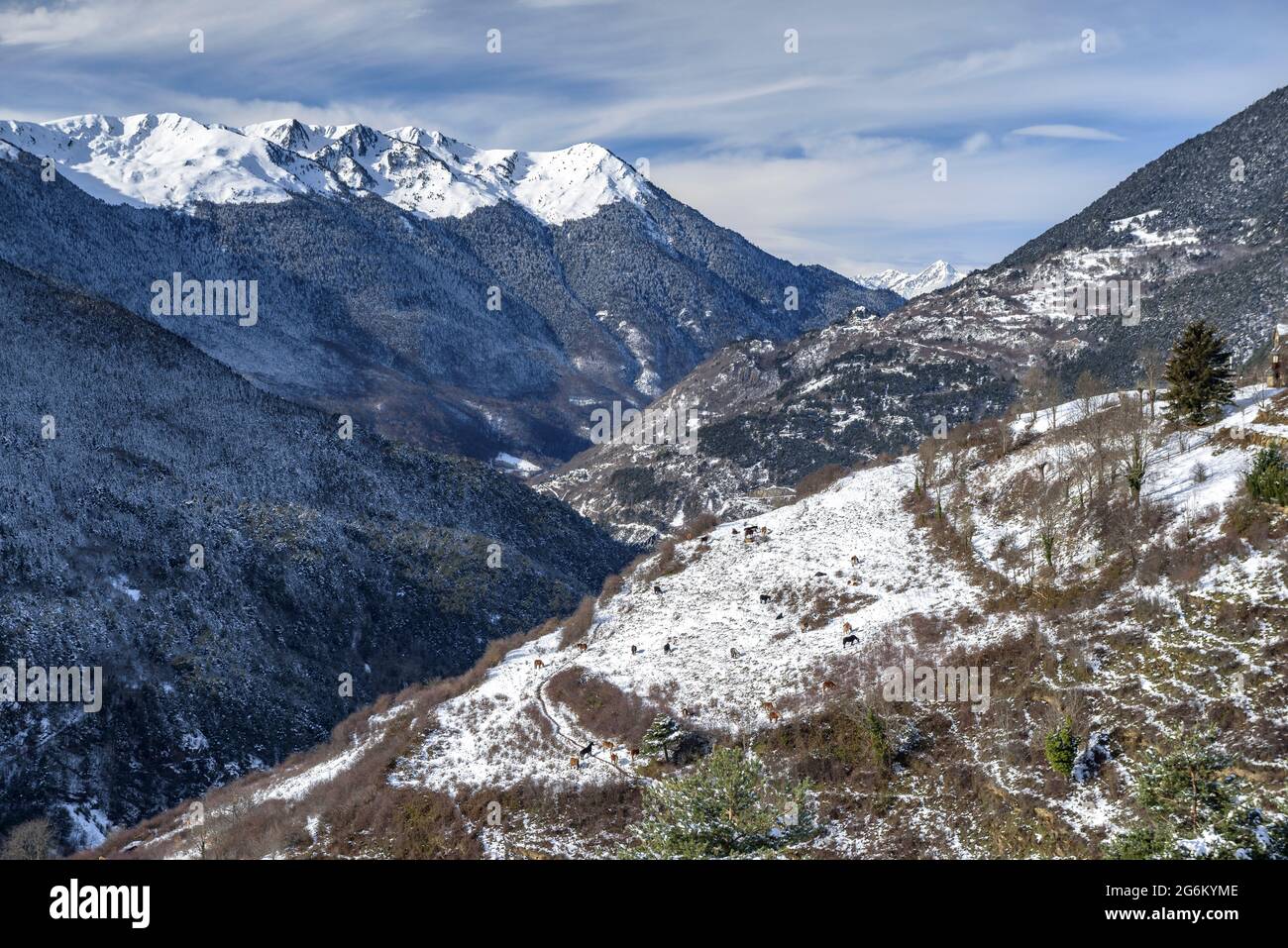 Snowy Aran Valley in winter, seen from the village of Mont (Aran Valley, Catalonia, Spain, Pyrenees) ESP: Valle de Arán nevado en invierno (Pirineos) Stock Photo