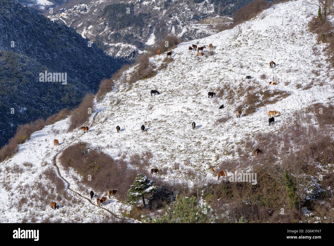 Snowy Aran Valley in winter, seen from the village of Mont (Aran Valley, Catalonia, Spain, Pyrenees) ESP: Valle de Arán nevado en invierno (Pirineos) Stock Photo