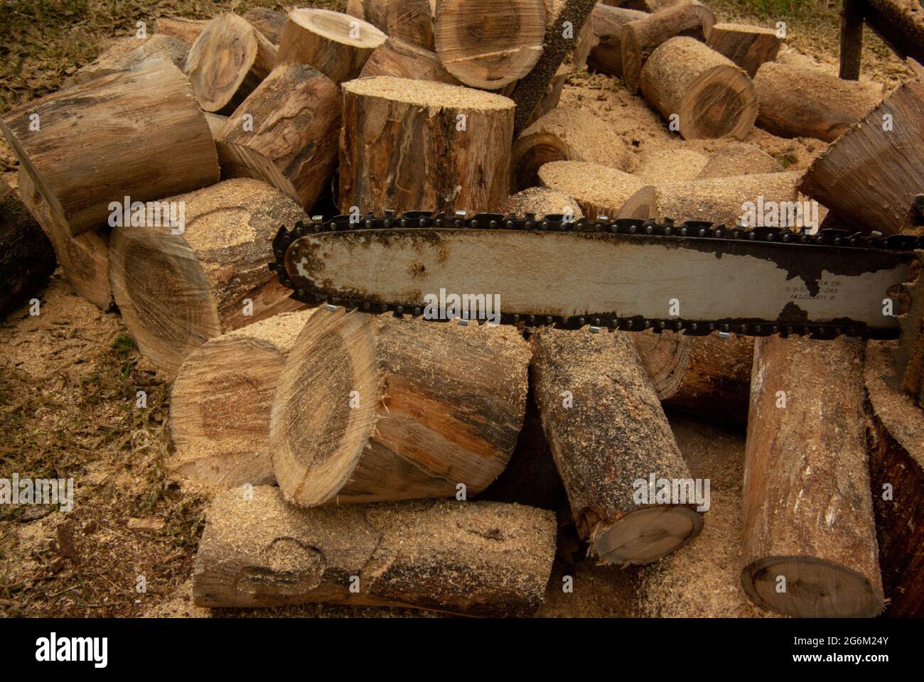 Chainsaw chain bar hi-res stock photography and images - Alamy