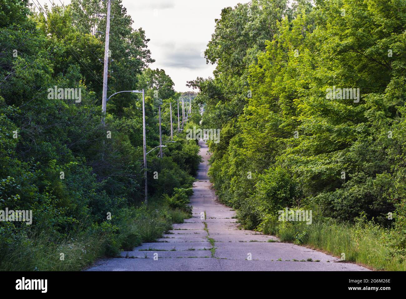 Nature and a forest of trees reclaiming an old, cracked, unmaintained hilly road that is lined with streetlights. Stock Photo