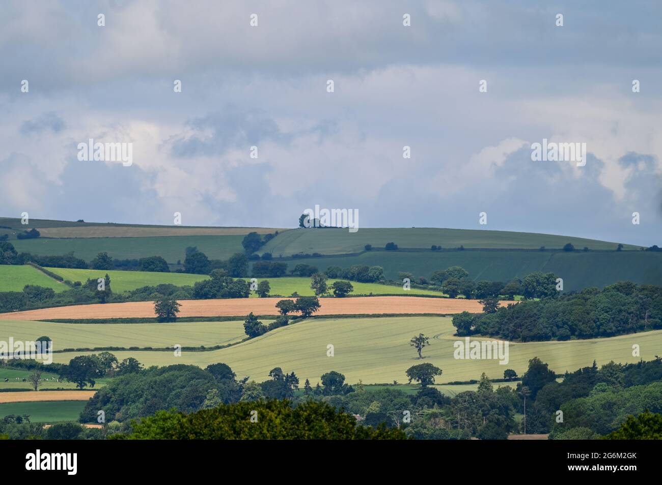 Summer sun shines on the fields of south Shropshire as seen from