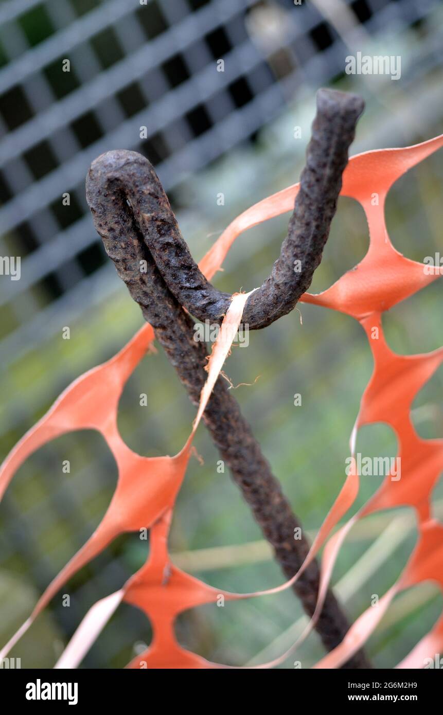 rusting metal stake with orange plastic safety strip Stock Photo Alamy