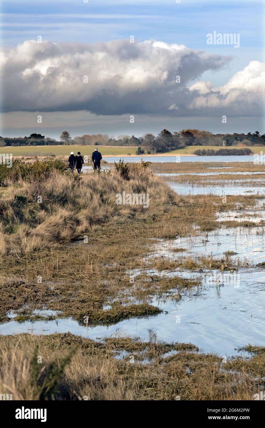 walkers beside river Deben Waldringfield Suffolk UK Stock Photo