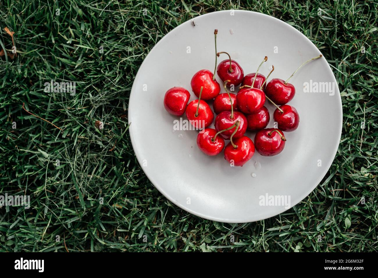 Ripe sweet cherry on a plate on the green grass top view, summer fruits