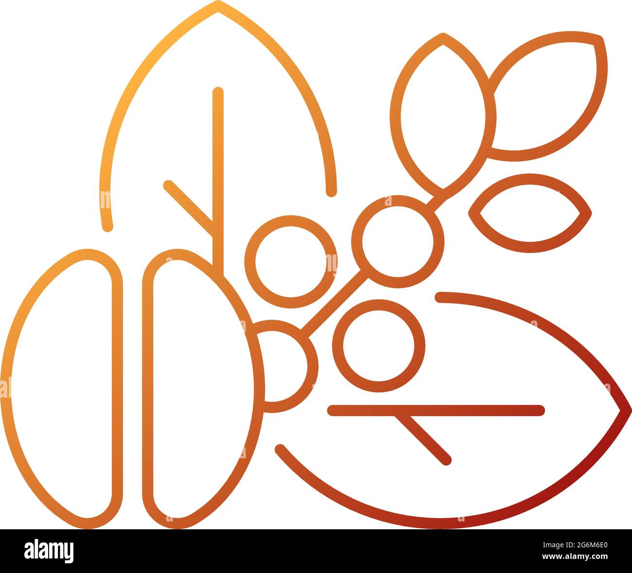Raw coffee beans gradient linear vector icon Stock Vector