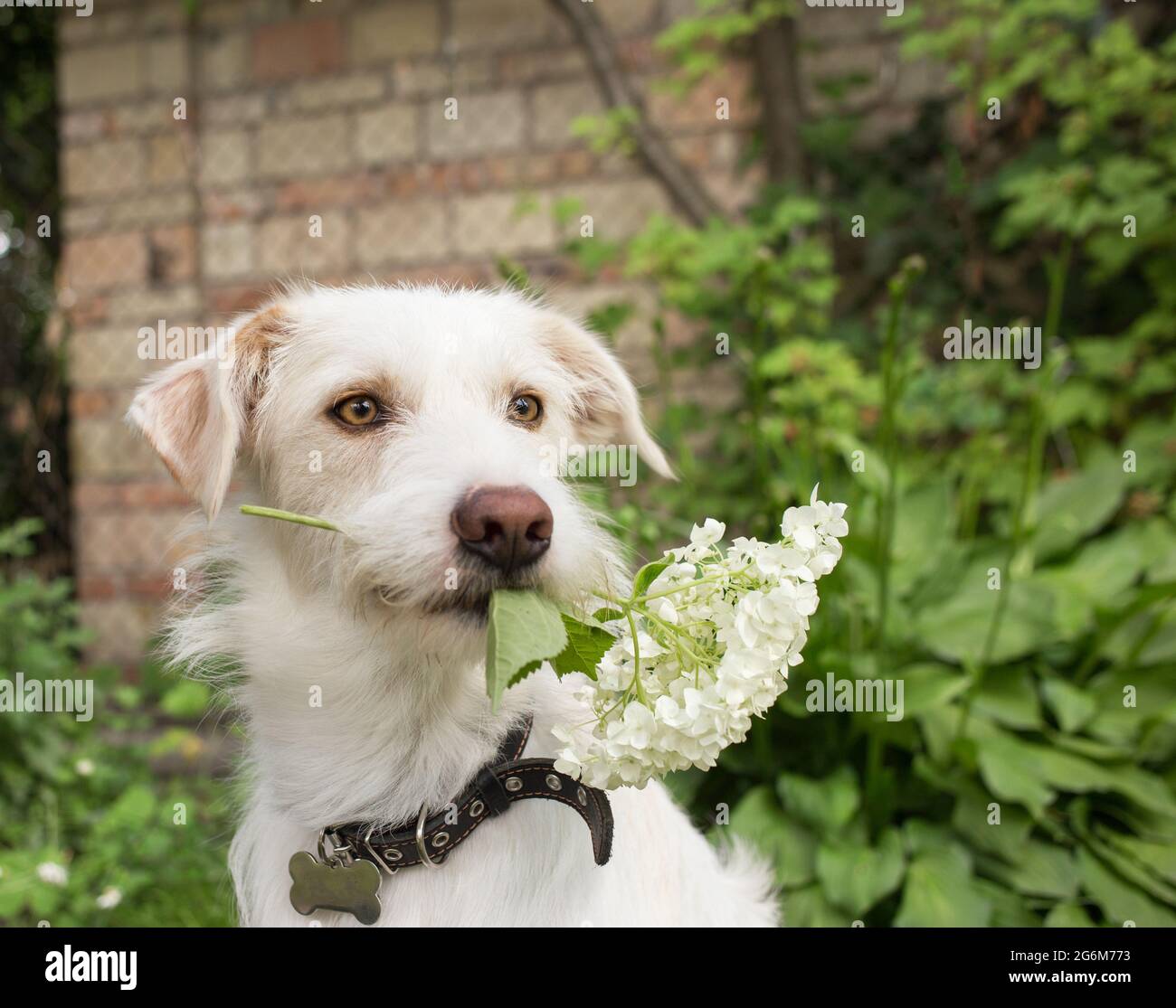 Pepper: A Thread : r/tumblr, image size:1300x1115