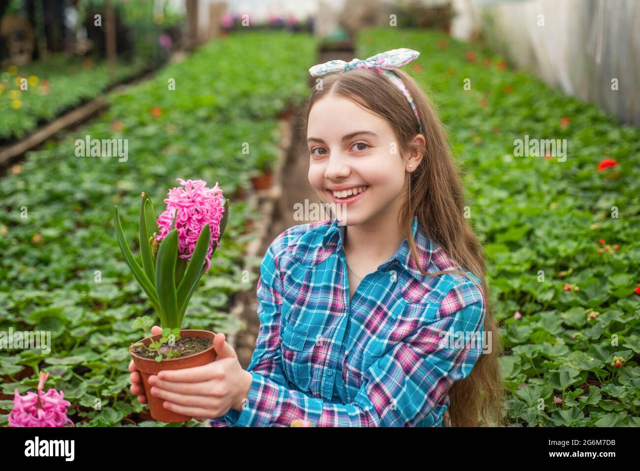 Germination pot child hires stock photography and images Alamy