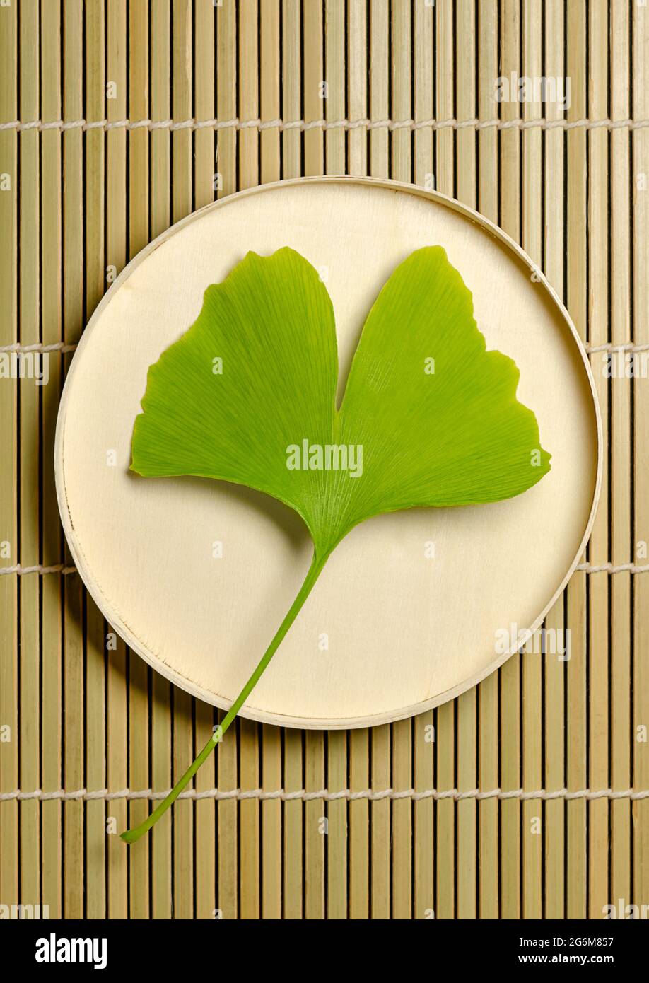 Ginkgo leaf on a balsa wood cap over a bamboo mat. Ginkgo biloba, gingko or maidenhair tree, official symbol of Tokyo. Stock Photo