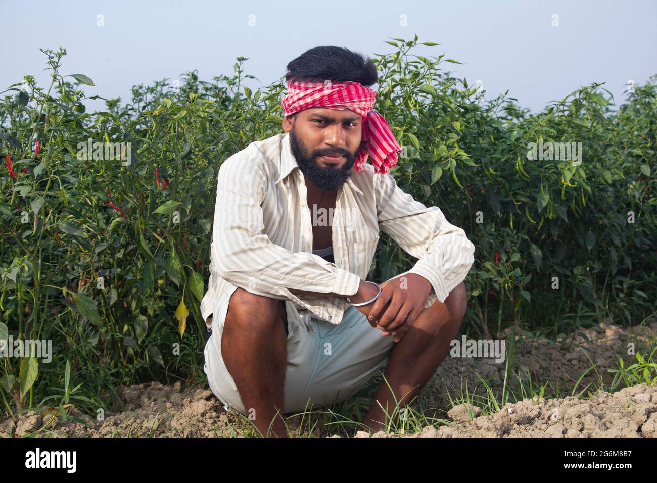 Indian Young Farmer Sitting in their agriculture field Stock Photo - Alamy