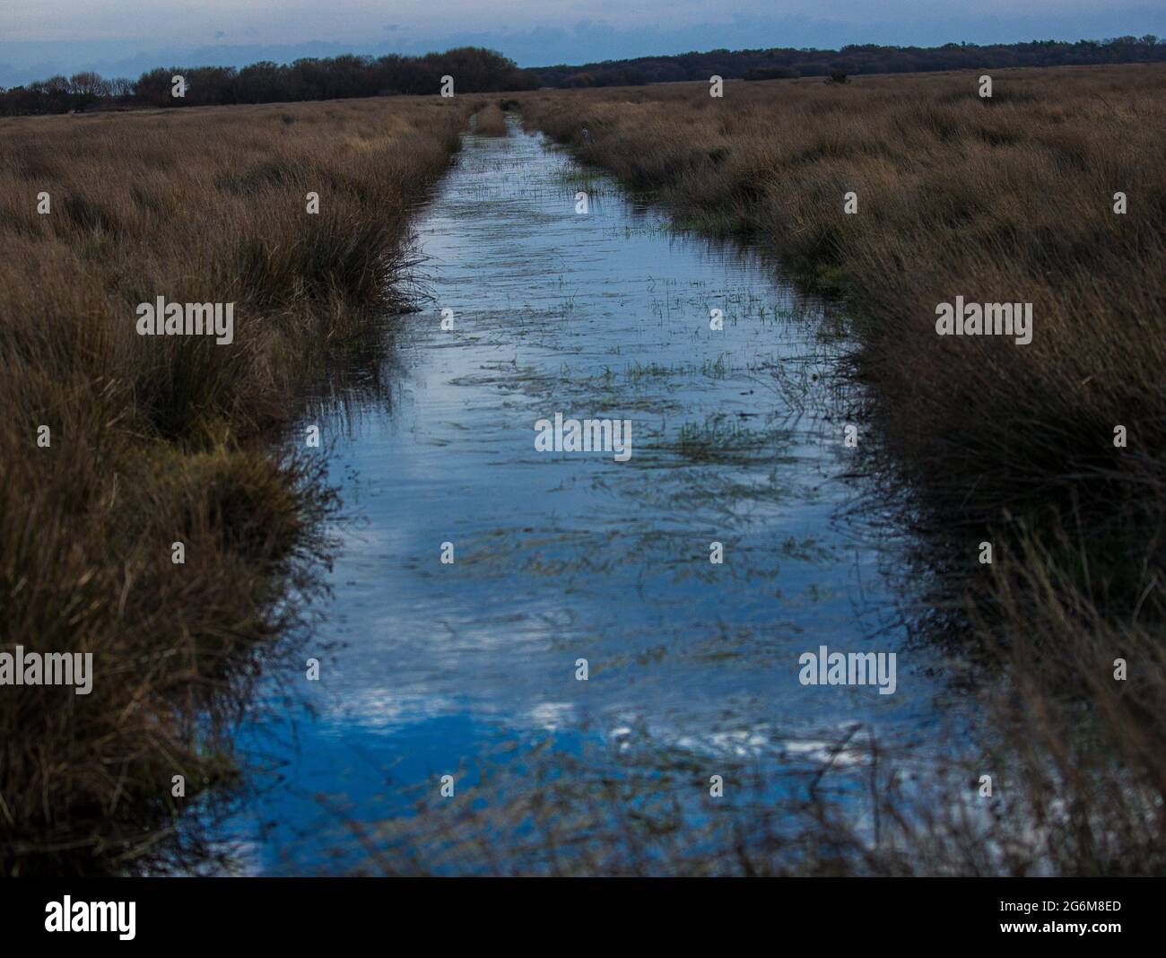 View of a straight drainage ditch on low lying farmland near Horsey on the Norfolk Broads Norfolk England Stock Photo