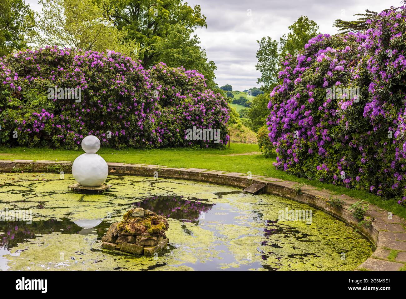 Yorkshire Sculpture Park near Wakefield, rural landscape with purple rhododendrons and Gary Hume sculpture of Snowman, Two Balls Twinkle White. Stock Photo