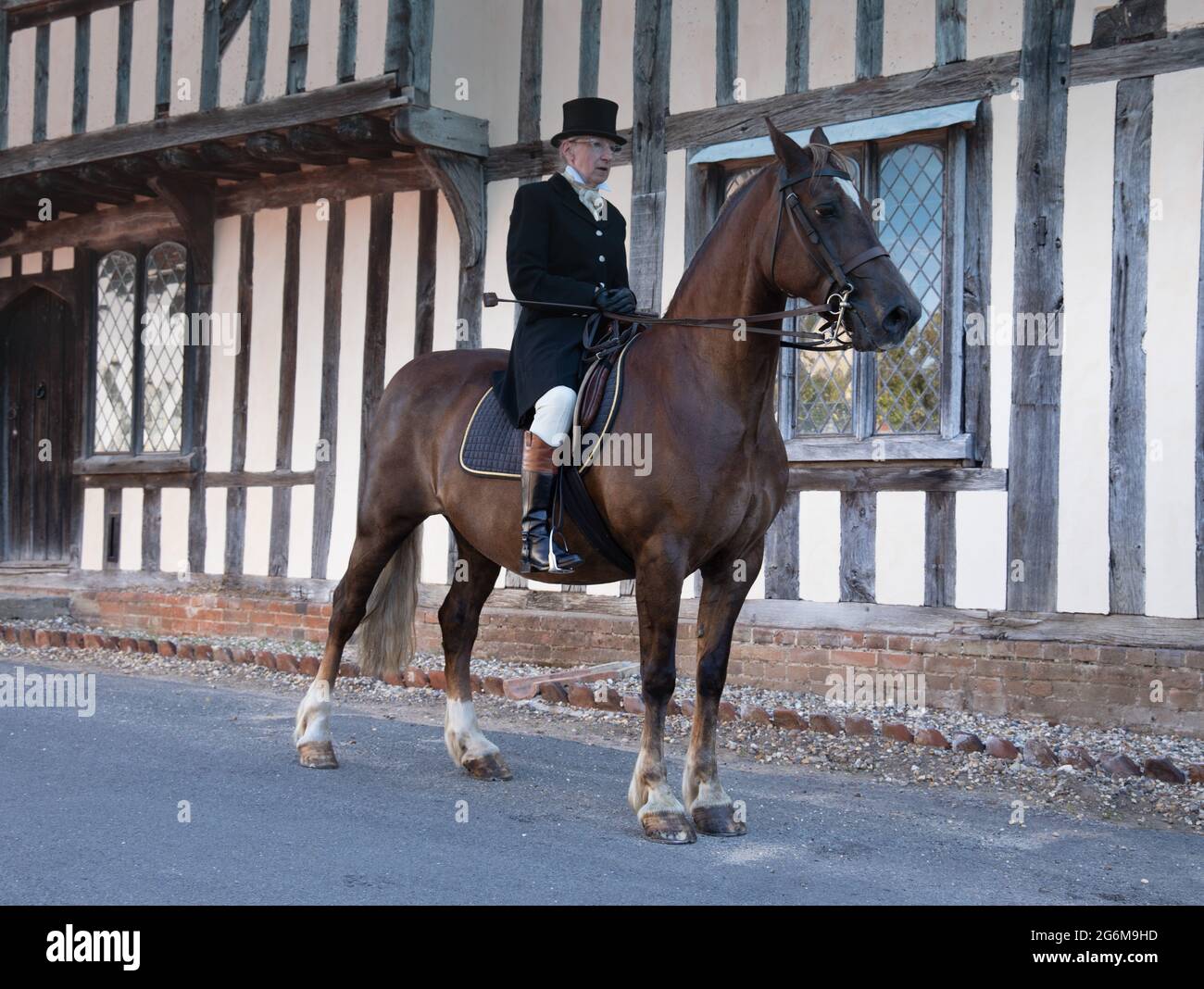 Lady formal riding habit riding a bay hunter horse in a pretty Suffolk village of Nayland in England with a old timbered building in the background Stock Photo