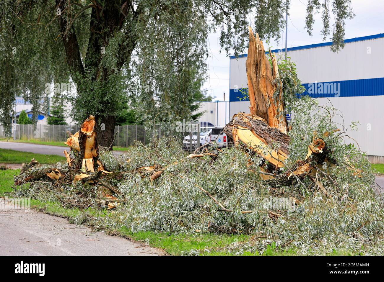 Fallen tree and damage by Satamakatu street, Meriniitty.  A severe thunderstorm on June 23rd caused damage in Salo, Finland. June 24, 2021. Stock Photo