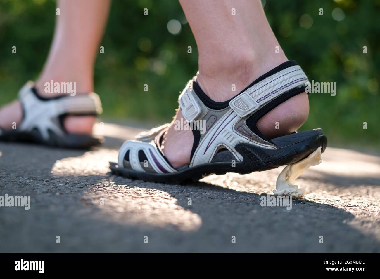 Woman foot in sandals stepped on a chewing gum, on the sidewalk. Close-up. Stock Photo