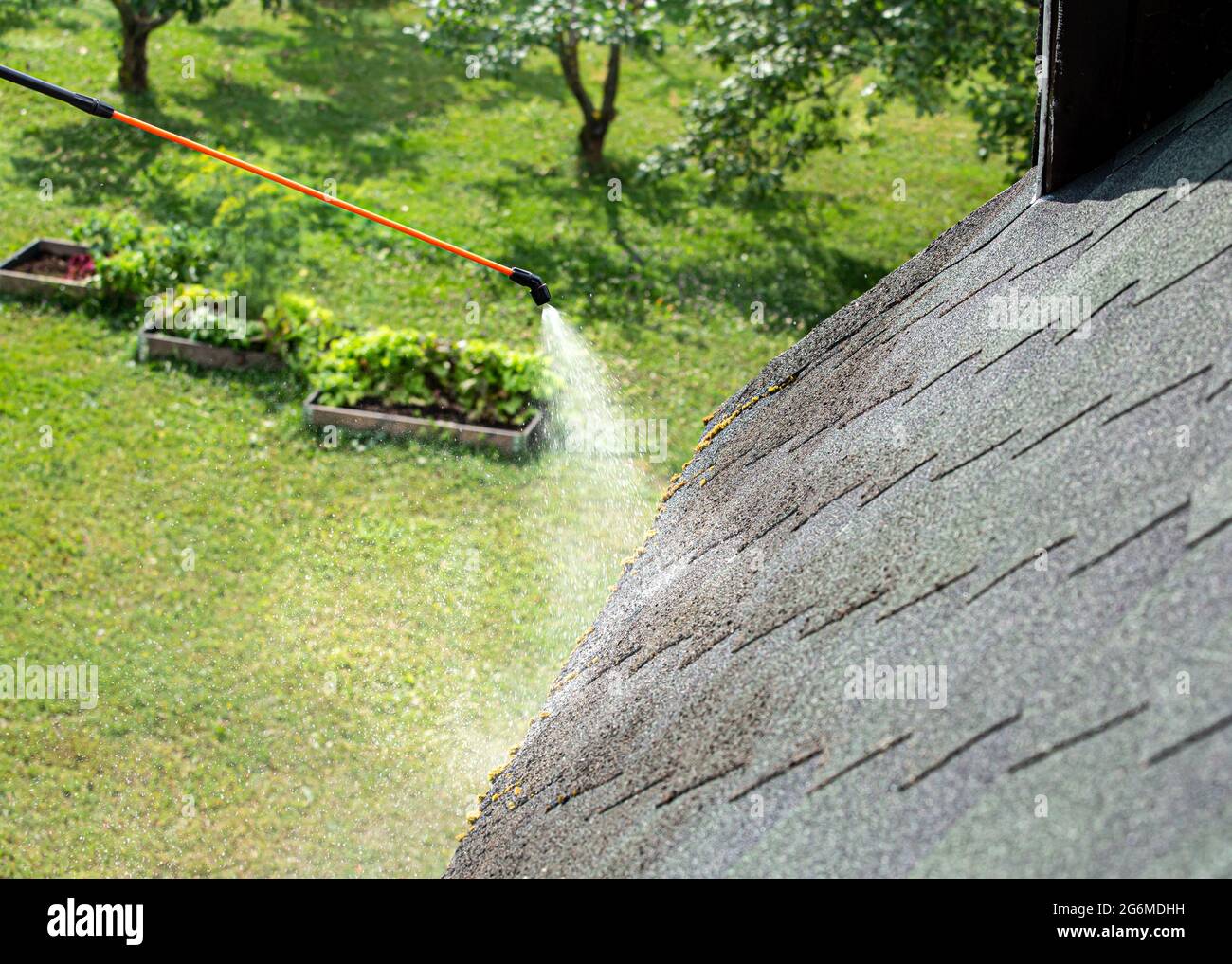 Spraying moss removing chemical to domestic home roof. Moss removal concept. Stock Photo