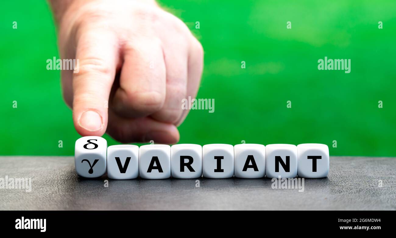 Hand turns dice and changes the expression 'gamma variant' to 'delta variant'. Stock Photo
