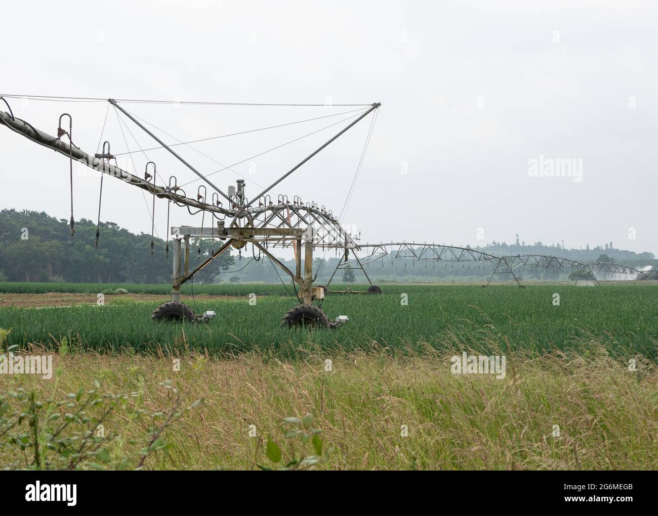 Agricultural irrigation system on vegetable crops Stock Photo