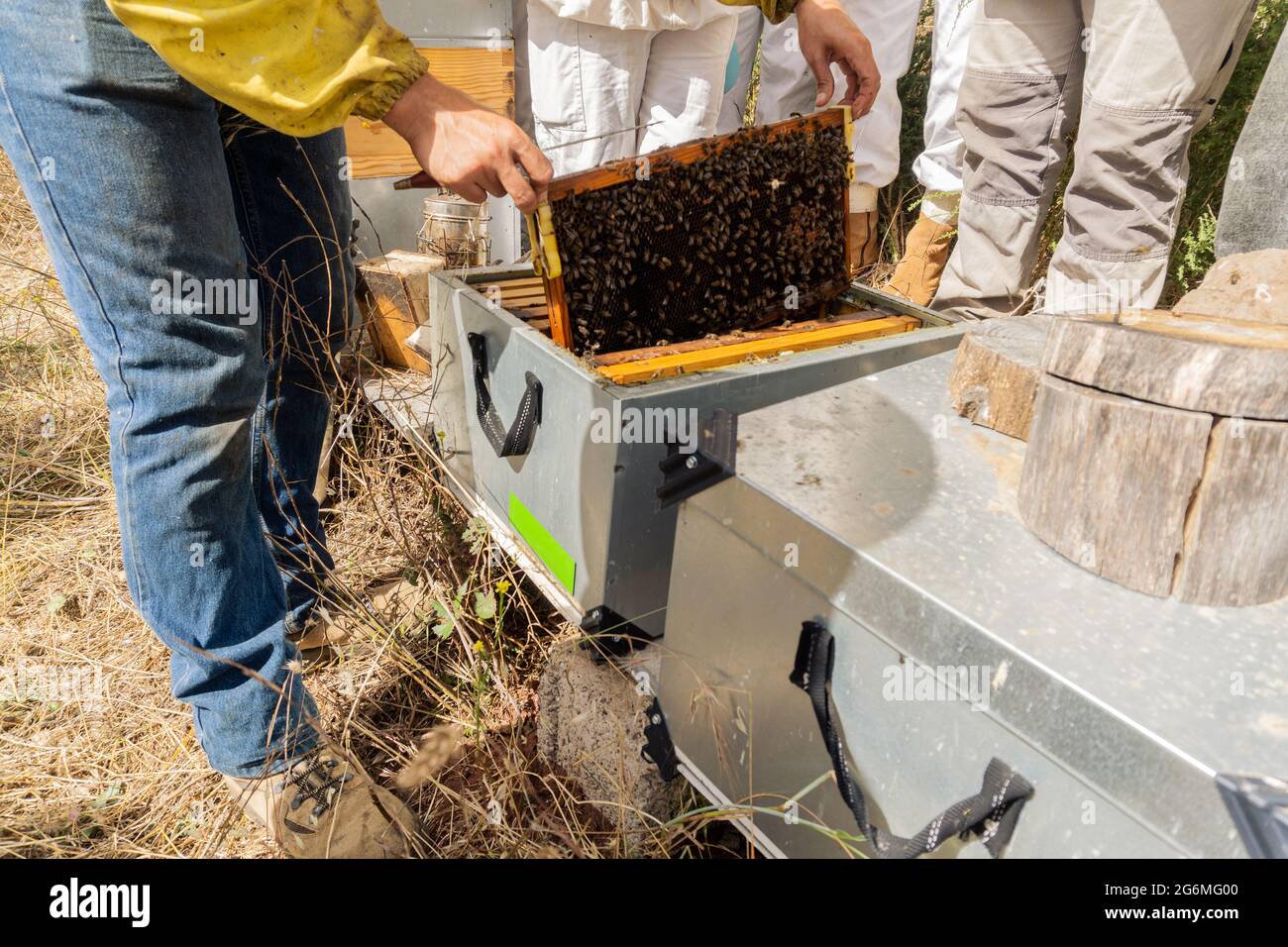 Beekeeper - Wikipedia