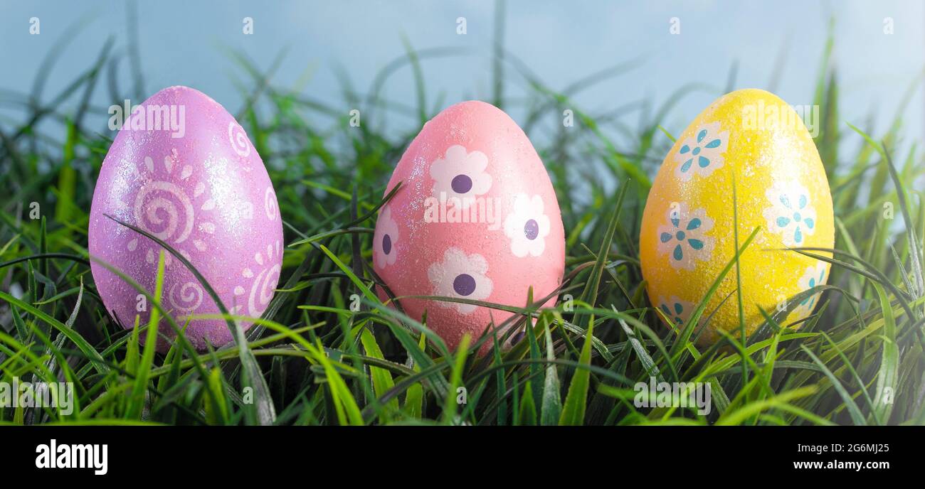 Decorated Easter Eggs Hiding in the Grass on a Beautiful Spring Day Stock Photo
